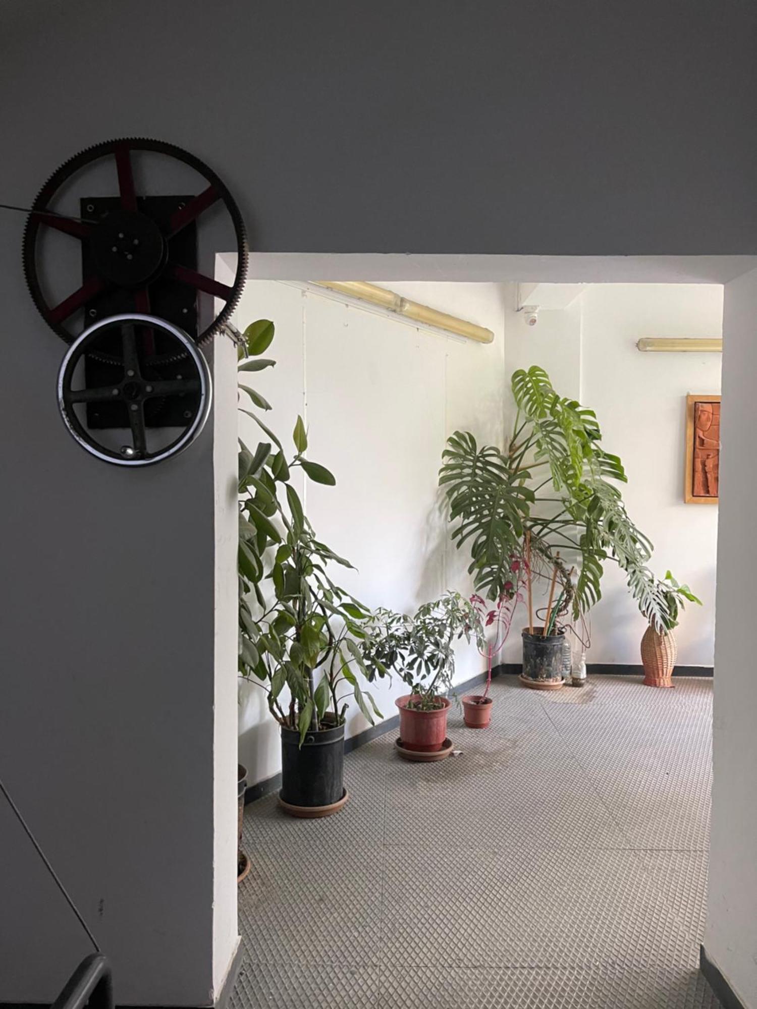 Flex Apartment Tiran Dış mekan fotoğraf